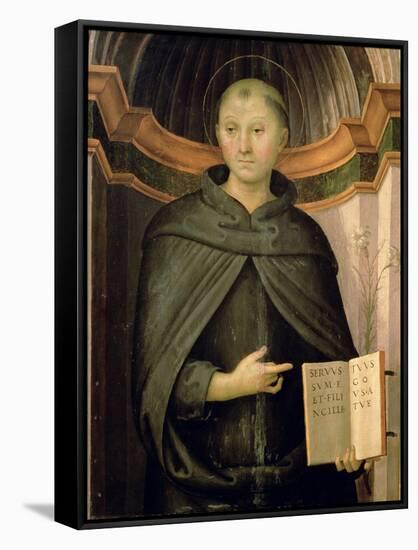 St. Nicholas of Tolentino-Pietro Perugino-Framed Stretched Canvas
