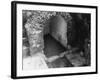 St. Non's Well-null-Framed Photographic Print