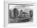 White Frame