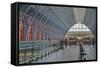 St. Pancras International Railway Station, London, England, United Kingdom, Europe-Julian Elliott-Framed Stretched Canvas