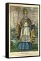 St Patrick, Pub. Currier and Ives, C.1860-null-Framed Stretched Canvas