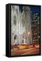 St. Patrick's Cathedral, 5th Avenue, Manhattan, New York-Rainer Mirau-Framed Stretched Canvas