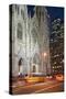 St. Patrick's Cathedral, 5th Avenue, Manhattan, New York-Rainer Mirau-Stretched Canvas