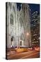 St. Patrick's Cathedral, 5th Avenue, Manhattan, New York-Rainer Mirau-Stretched Canvas