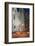 St. Patrick's Cathedral, 5th Avenue, Manhattan, New York-Rainer Mirau-Framed Photographic Print