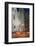 St. Patrick's Cathedral, 5th Avenue, Manhattan, New York-Rainer Mirau-Framed Photographic Print