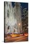 St. Patrick's Cathedral, 5th Avenue, Manhattan, New York-Rainer Mirau-Stretched Canvas