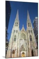 St. Patrick's Cathedral, 5th Avenue, Manhattan, New York-Rainer Mirau-Mounted Photographic Print