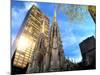 St. Patrick's Cathedral and Other Buildings on 5th Avenue, New Y-Sabine Jacobs-Mounted Photographic Print