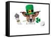 St. Patrick's Day Dog-Javier Brosch-Framed Stretched Canvas