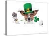St. Patrick's Day Dog-Javier Brosch-Stretched Canvas