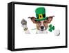 St. Patrick's Day Dog-Javier Brosch-Framed Stretched Canvas