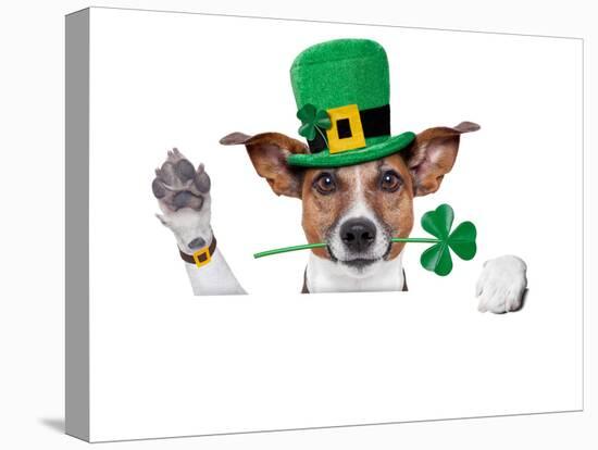 St. Patrick's Day Dog-Javier Brosch-Stretched Canvas