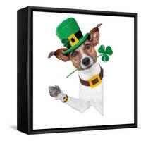St. Patrick's Day Dog-Javier Brosch-Framed Stretched Canvas