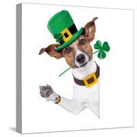 St. Patrick's Day Dog-Javier Brosch-Stretched Canvas