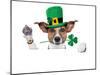 St. Patrick's Day Dog-Javier Brosch-Mounted Photographic Print