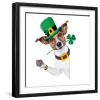 St. Patrick's Day Dog-Javier Brosch-Framed Photographic Print