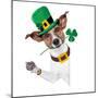 St. Patrick's Day Dog-Javier Brosch-Mounted Photographic Print