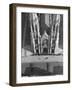 St. Patrick's Day Parade-null-Framed Photographic Print