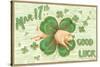 St. Patrick's Day, Pig and Shamrock-null-Stretched Canvas
