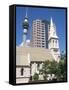 St. Patrick's Roman Catholic Church and Skytower, Auckland, North Island, New Zealand-Ken Gillham-Framed Stretched Canvas