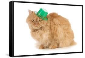 St Patricks Day Cat Looking at Viewer-Willee Cole-Framed Stretched Canvas