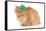 St Patricks Day Cat Looking at Viewer-Willee Cole-Framed Stretched Canvas