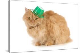 St Patricks Day Cat Looking at Viewer-Willee Cole-Stretched Canvas