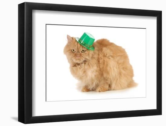 St Patricks Day Cat Looking at Viewer-Willee Cole-Framed Photographic Print