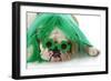 St Patricks Day Dog-Willee Cole-Framed Photographic Print