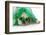 St Patricks Day Dog-Willee Cole-Framed Photographic Print