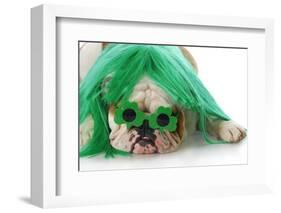 St Patricks Day Dog-Willee Cole-Framed Photographic Print