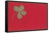 St. Patricks Day, Four-Leaf Clover-null-Framed Stretched Canvas