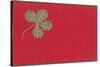 St. Patricks Day, Four-Leaf Clover-null-Stretched Canvas