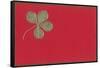 St. Patricks Day, Four-Leaf Clover-null-Framed Stretched Canvas