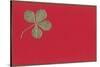 St. Patricks Day, Four-Leaf Clover-null-Stretched Canvas