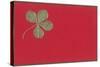 St. Patricks Day, Four-Leaf Clover-null-Stretched Canvas