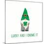 St Patricks Day Gnomes II Lucky-Jenaya Jackson-Mounted Art Print