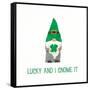 St Patricks Day Gnomes II Lucky-Jenaya Jackson-Framed Stretched Canvas