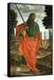 St. Paul, 1520-Vittore Carpaccio-Framed Stretched Canvas