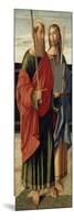 St. Paul and St. James the Elder, C.1499 (Tempera on Wood Panel)-Cristoforo Caselli-Mounted Giclee Print