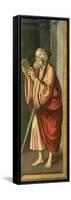 St. Paul Apostle-Marco D'oggiono-Framed Stretched Canvas