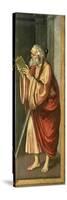 St. Paul Apostle-Marco D'oggiono-Stretched Canvas