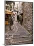 St. Paul De Vence, Alpes Maritimes, Provence, Cote d'Azur, France-Sergio Pitamitz-Mounted Photographic Print