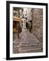 St. Paul De Vence, Alpes Maritimes, Provence, Cote d'Azur, France-Sergio Pitamitz-Framed Photographic Print