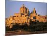 St. Paul's Cathedral and City Walls, Mdina, Malta, Mediterranean, Europe-Stuart Black-Mounted Photographic Print