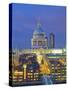 St Paul's Cathedral at night, London-Pawel Libera-Stretched Canvas