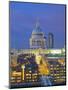 St Paul's Cathedral at night, London-Pawel Libera-Mounted Photographic Print