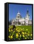 St. Paul's Cathedral with Daffodils, London, England, United Kingdom, Europe-Stuart Black-Framed Stretched Canvas