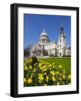 St. Paul's Cathedral with Daffodils, London, England, United Kingdom, Europe-Stuart Black-Framed Photographic Print